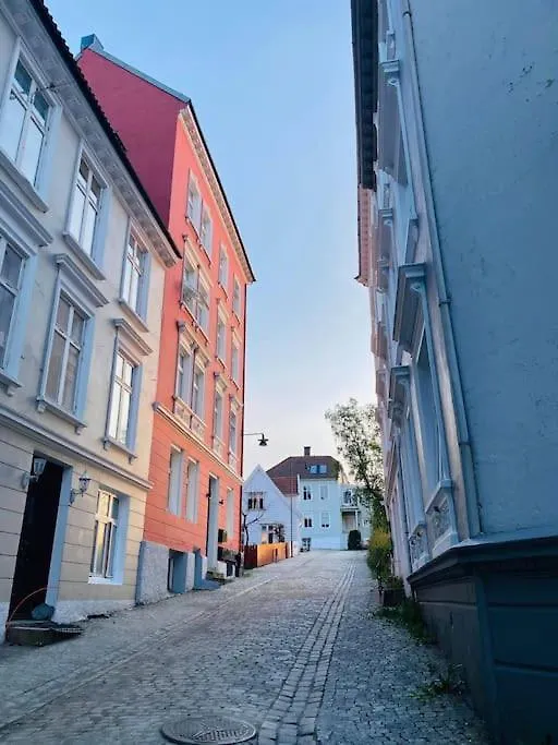 Daire Sentral Leilighet Med Fantastisk Utsikt! Bergen Norveç